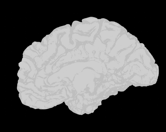 6 Ways To Improve Cognitive Function